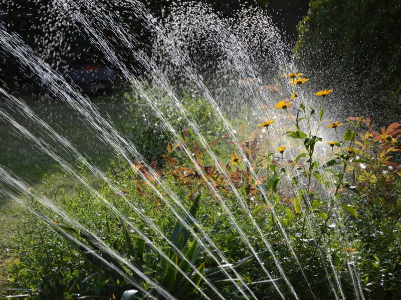 Nawadnianie ogrodu – na jakie systemy warto się zdecydować?