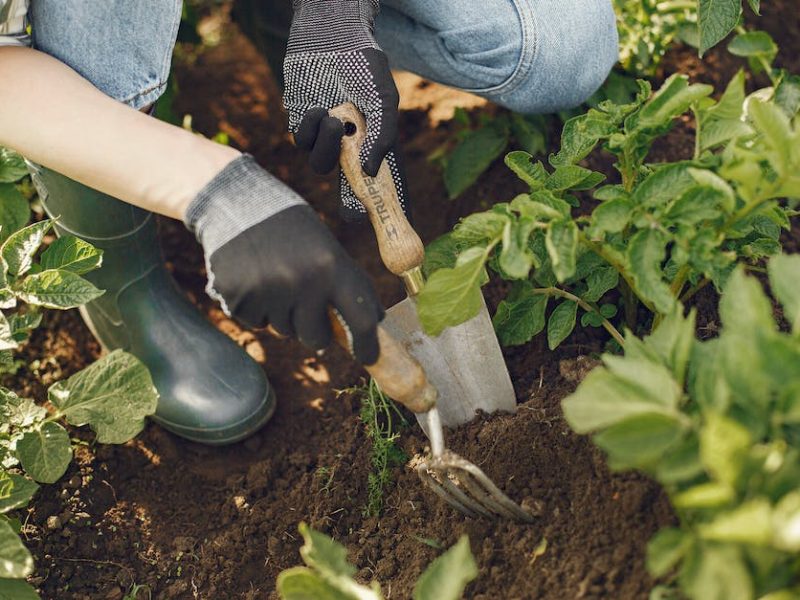 Niezbędne narzędzia ogrodnicze – podstawowe informacje