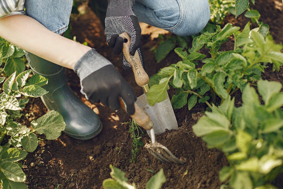 Niezbędne narzędzia ogrodnicze – podstawowe informacje