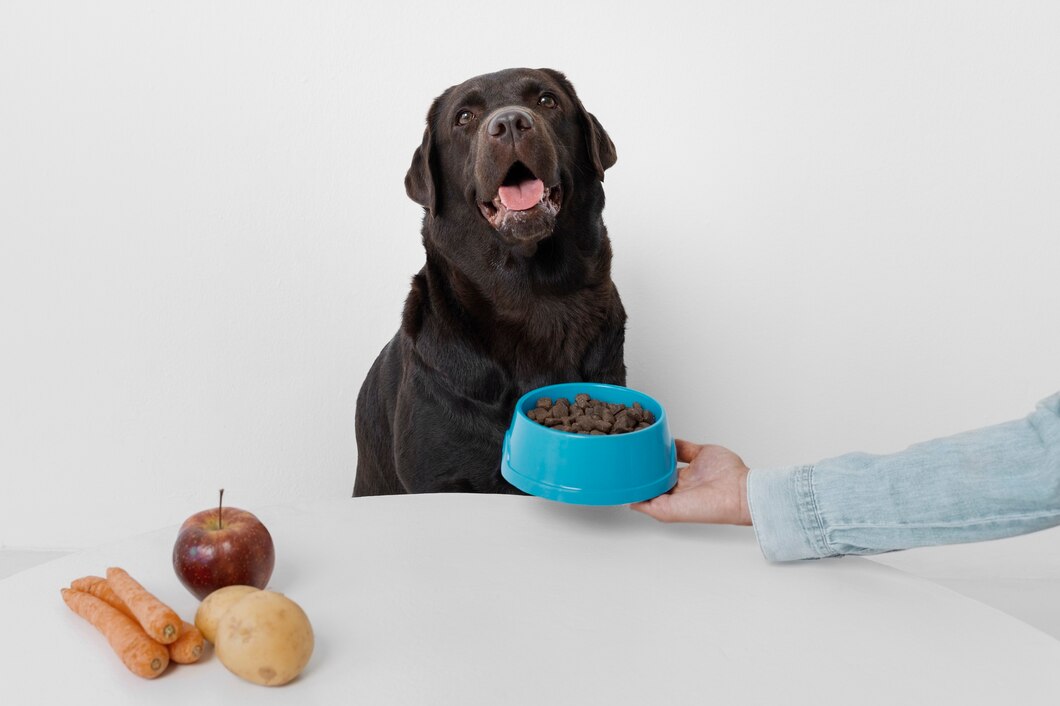Jak dieta wolna od zbóż wpływa na zdrowie i samopoczucie psa