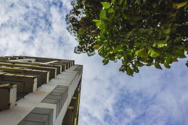 Zielone dachy jako sposób na integrację natury z architekturą domową