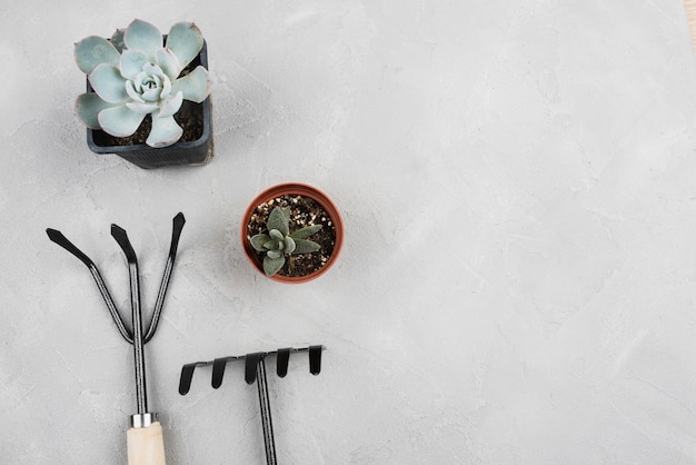 Jak wybrać odpowiednie narzędzia do ogrodu dla początkujących majsterkowiczów